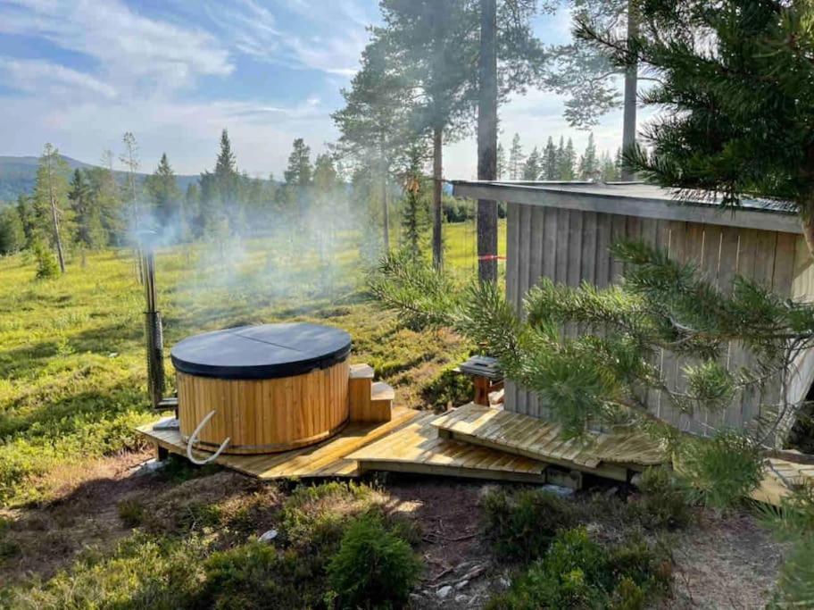 Mountain Cabin Lofsdalen Exterior foto