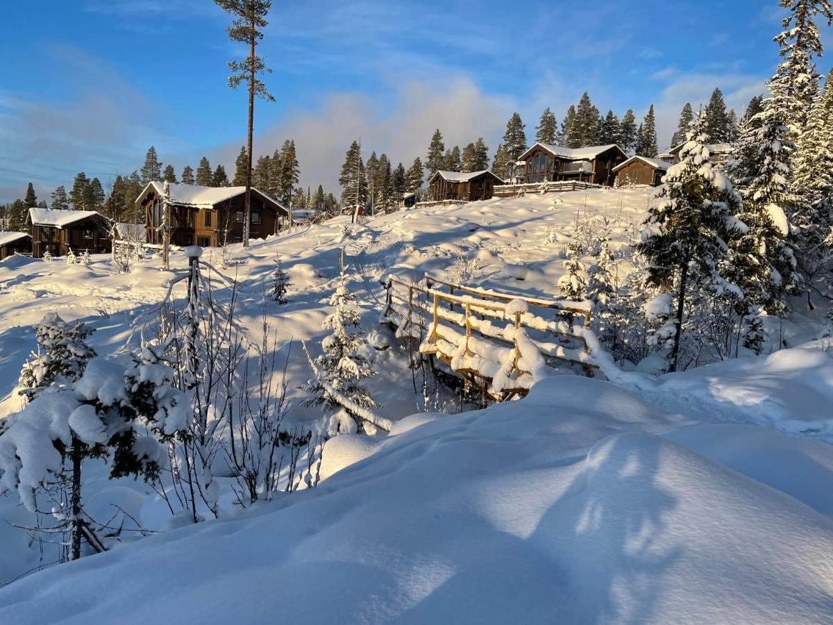 Mountain Cabin Lofsdalen Exterior foto